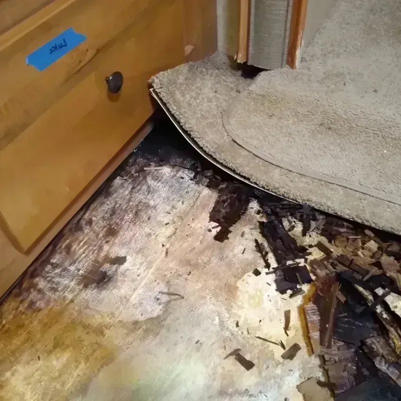 Wood Floor Water Damage in Williams Bay, WI